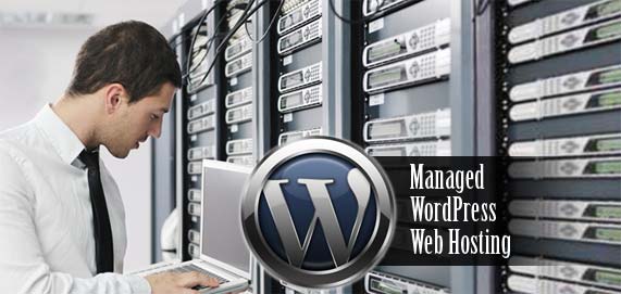 wordpress-professional-management-web-server